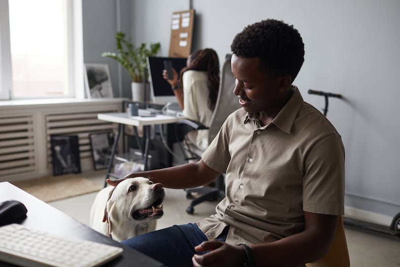 Service animals in sales the workplace